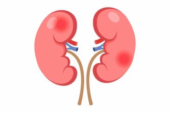 Suffering from chronic kidney disease due to Poor Nutrition on Human Body Healthcare and medicine concept.